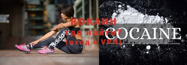стаф Абаза