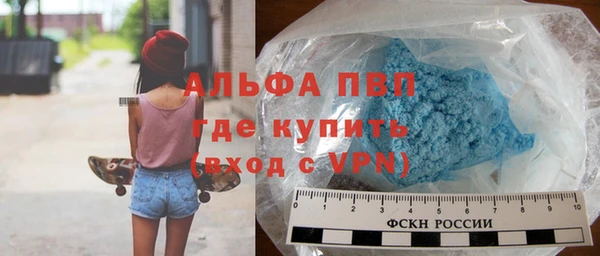 стаф Абаза