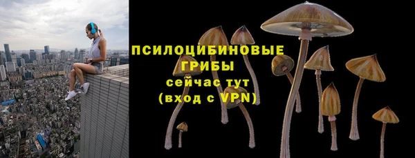 стаф Абаза