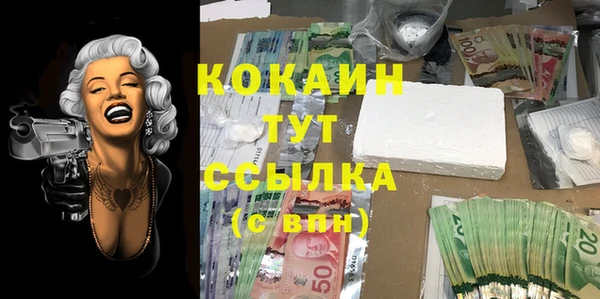 стаф Абаза