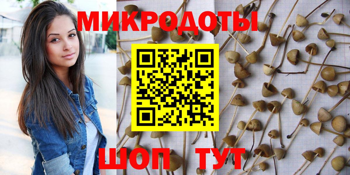 Псилоцибиновые грибы прущие грибы Нижневартовск